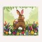 Spring Bundle (4 piece) (30% off)